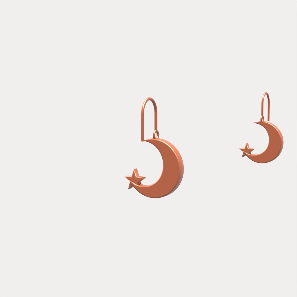 Crescent Moon & Star Earrings view 5