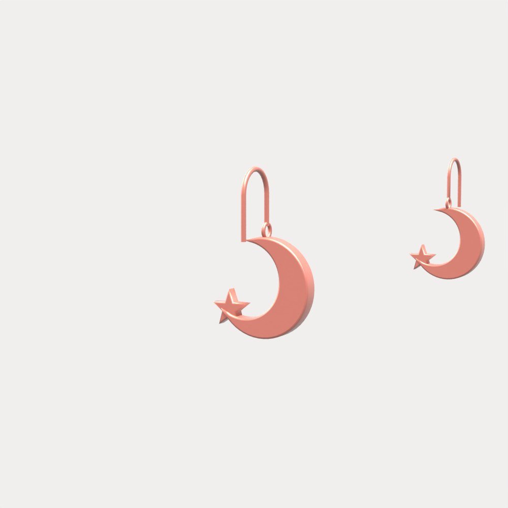 Crescent Moon & Star Earrings view 4